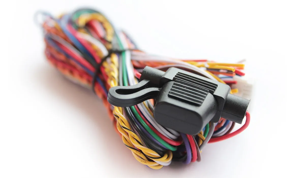 IMG_8000-1-show IMG_8000-1-show