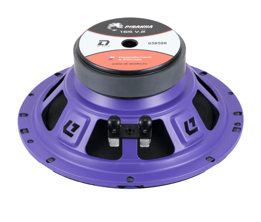 изображение_2023-12-24_090922626