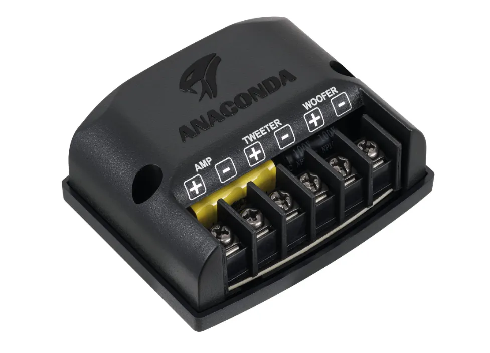 изображение_2023-12-24_094648223