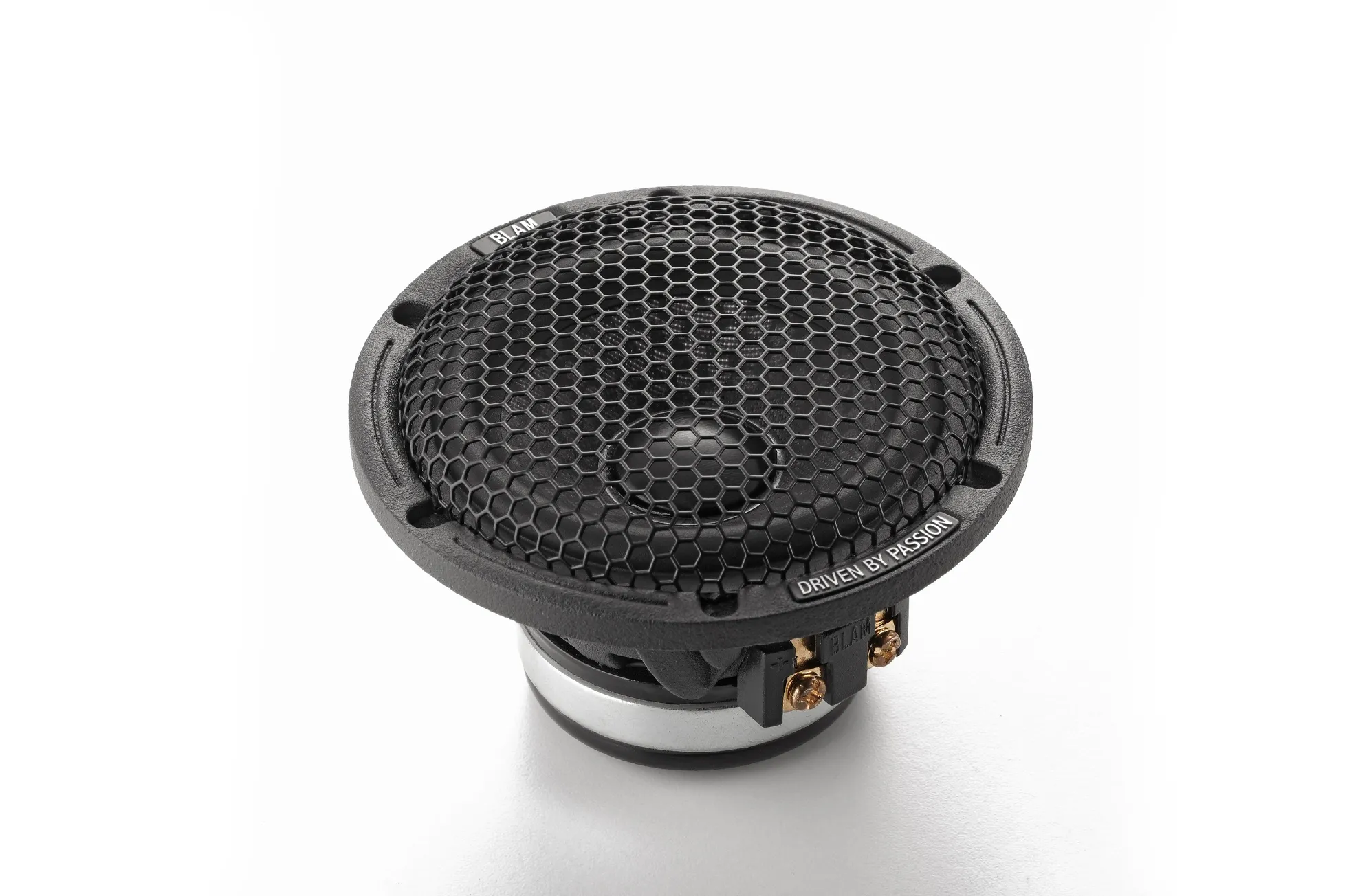 Акустика широкополосная BLAM LFR80 - фото