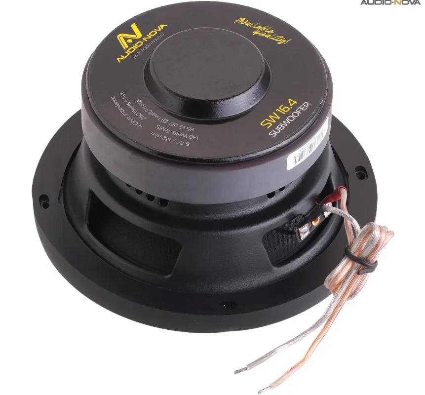 изображение_2025-04-01_234408542