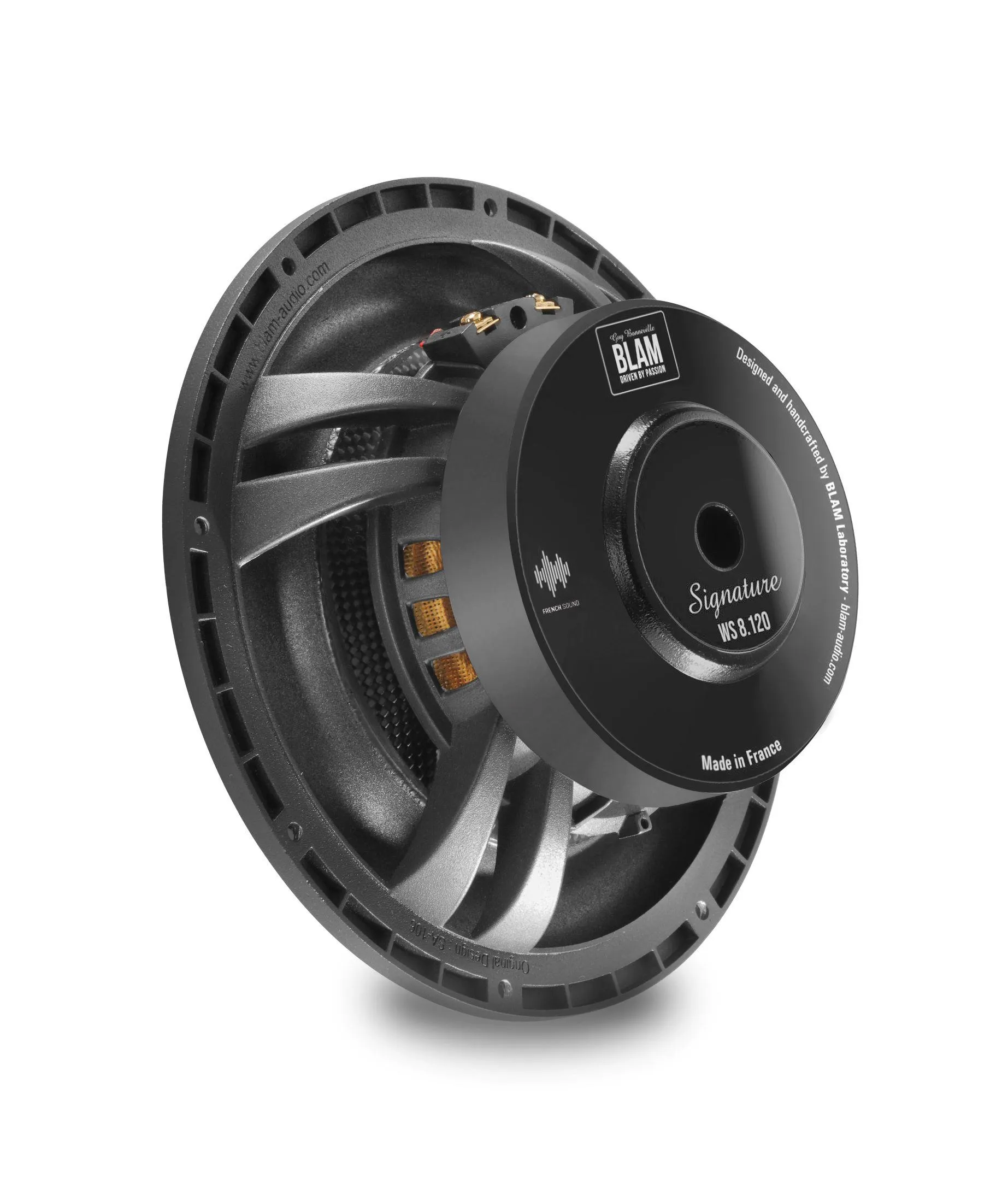 Сабвуфер BLAM WS8120 - фото