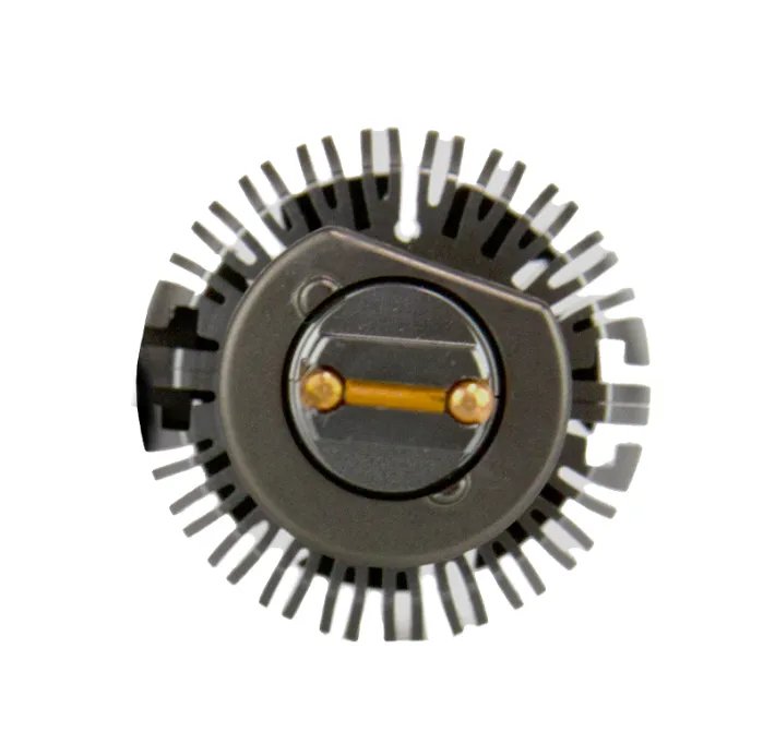 изображение_2024-03-05_095044720