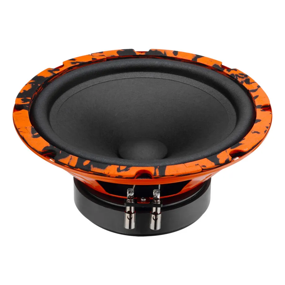 Gryphon-Pro-200-Midbass_1-920x920[1]