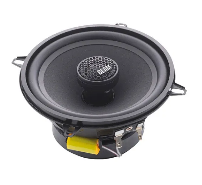 изображение_2025-06-05_030334236