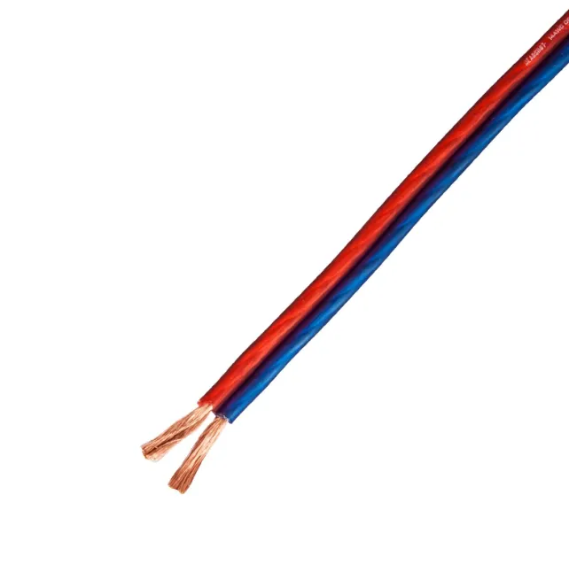 изображение_2023-08-15_170144366