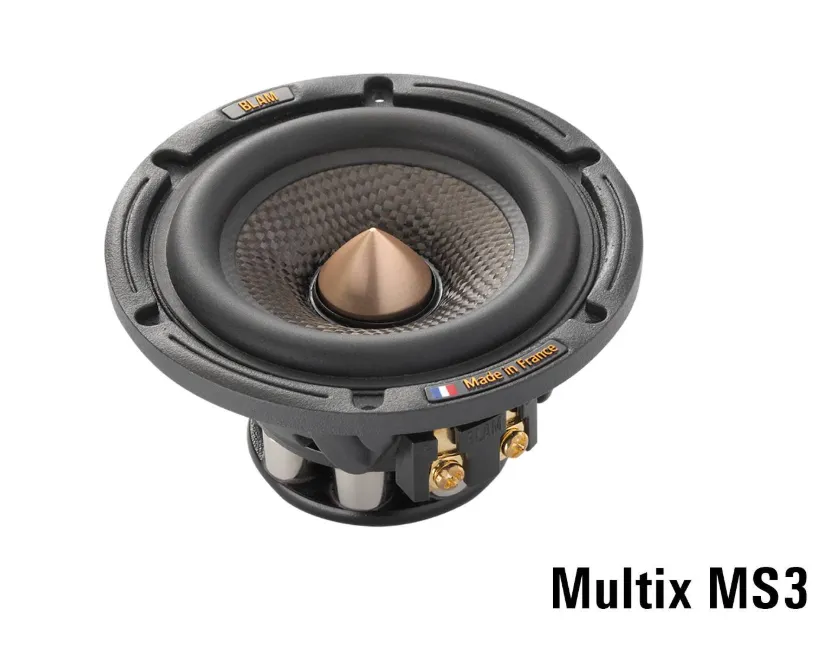 Акустика широкополосная BLAM MS3MULTIX - фото