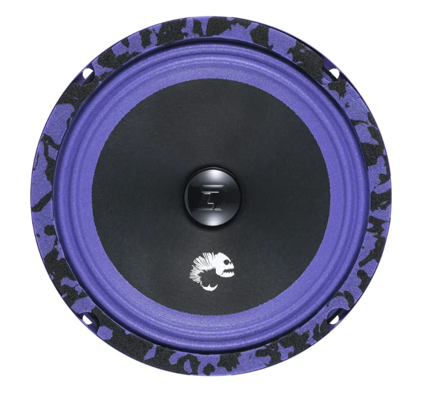 изображение_2023-12-24_090914084