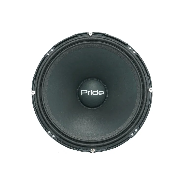 СЧ динамики Pride Solo 300 NEO 8" - фото