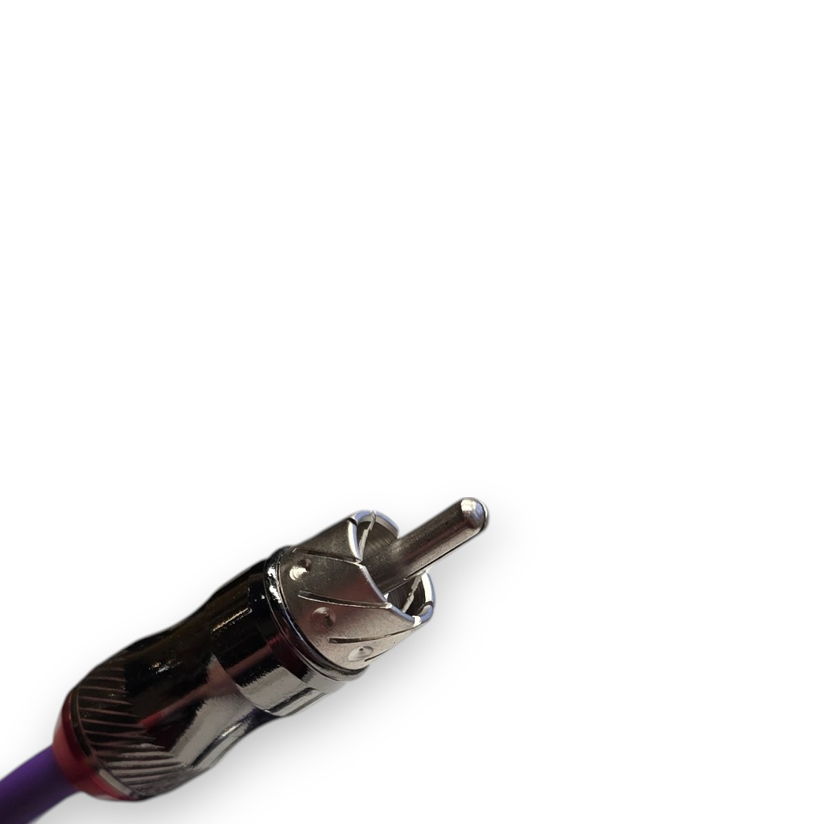 345435-Photoroom